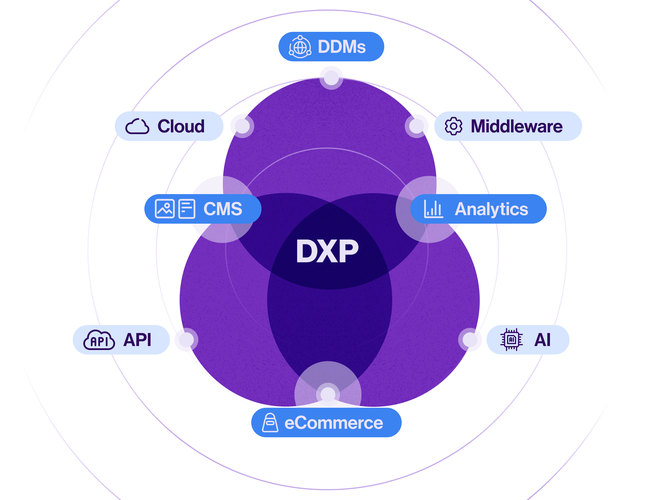 But first, what is a DXP?